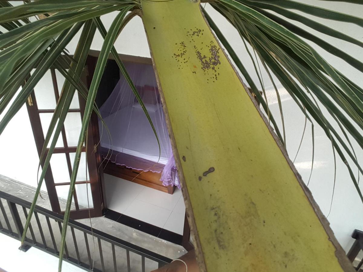 Coco Rooms Galle Dış mekan fotoğraf